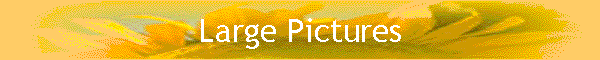 Large Pictures